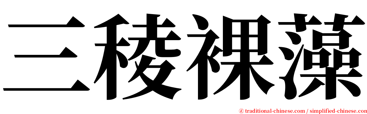 三稜裸藻 serif font