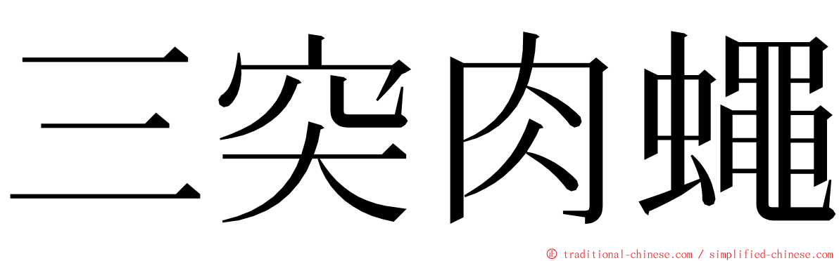 三突肉蠅 ming font