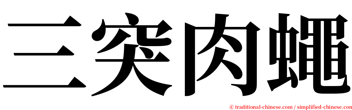 三突肉蠅 serif font