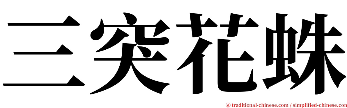 三突花蛛 serif font