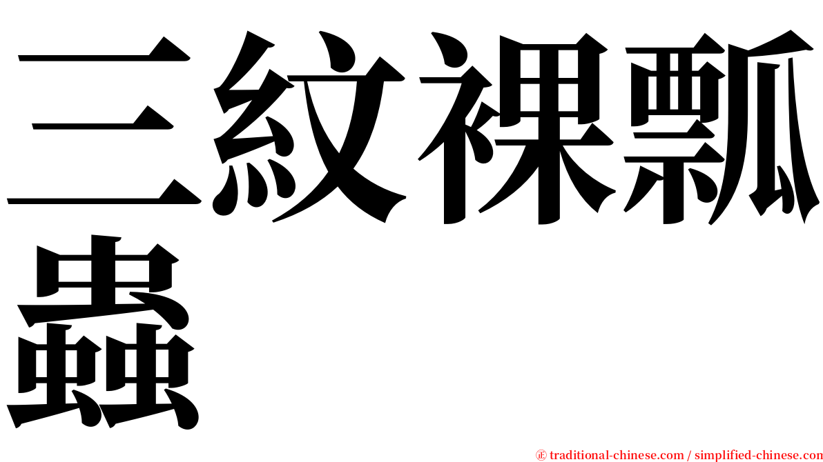 三紋裸瓢蟲 serif font