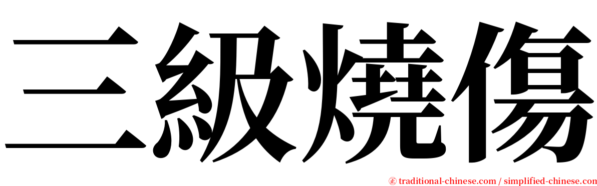 三級燒傷 serif font