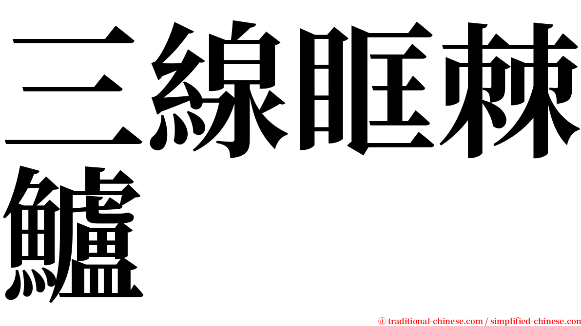 三線眶棘鱸 serif font