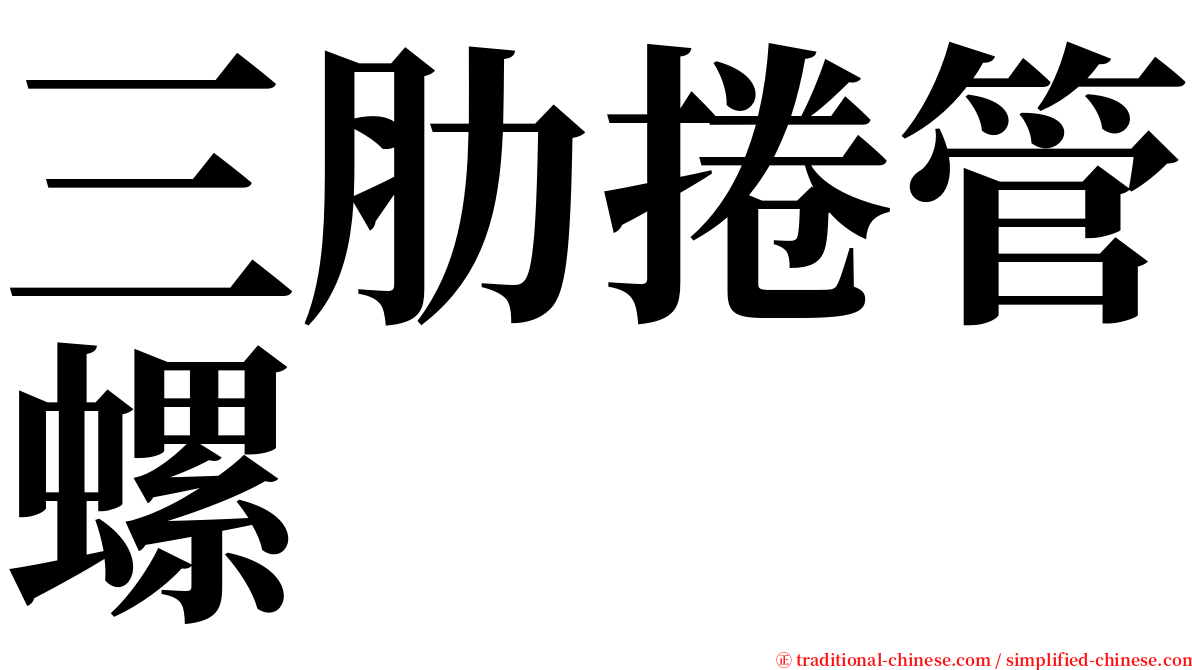 三肋捲管螺 serif font