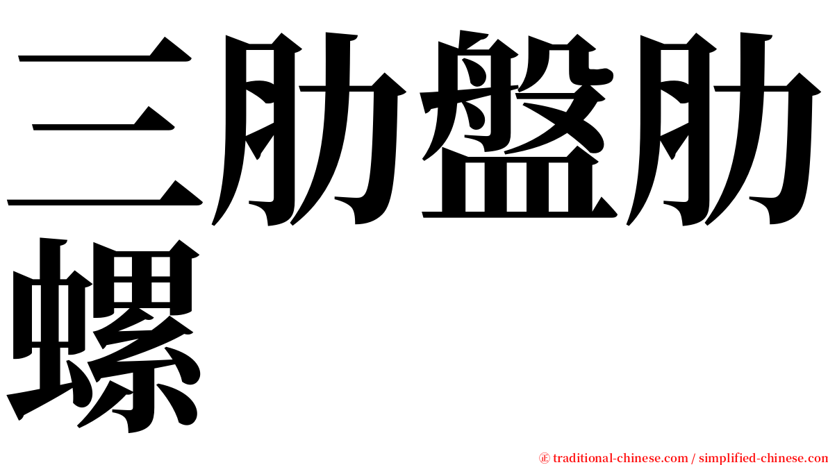 三肋盤肋螺 serif font