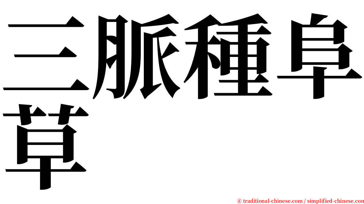 三脈種阜草 serif font