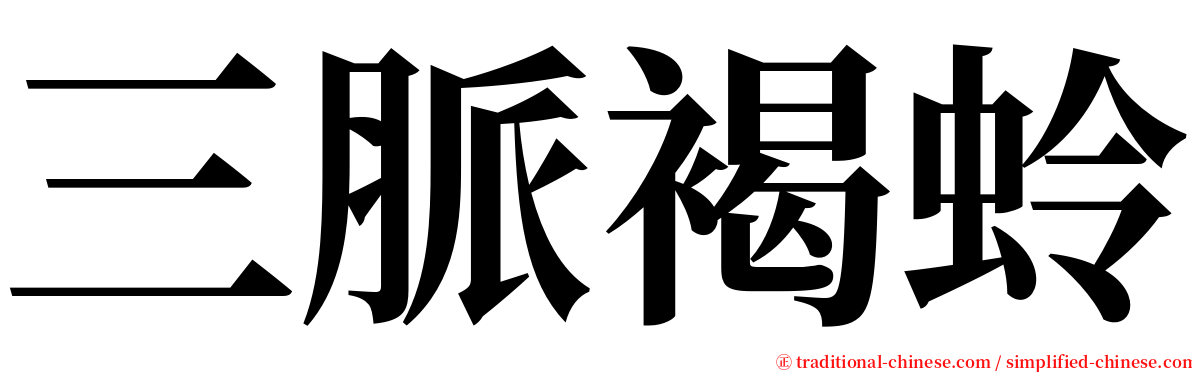 三脈褐蛉 serif font