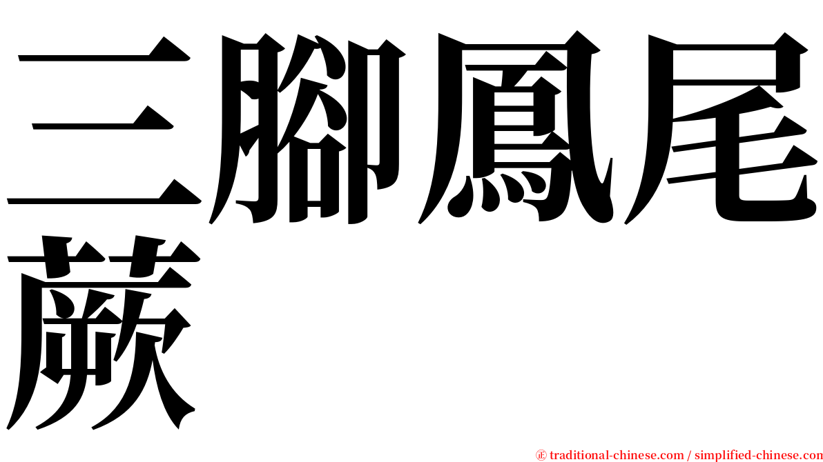 三腳鳳尾蕨 serif font