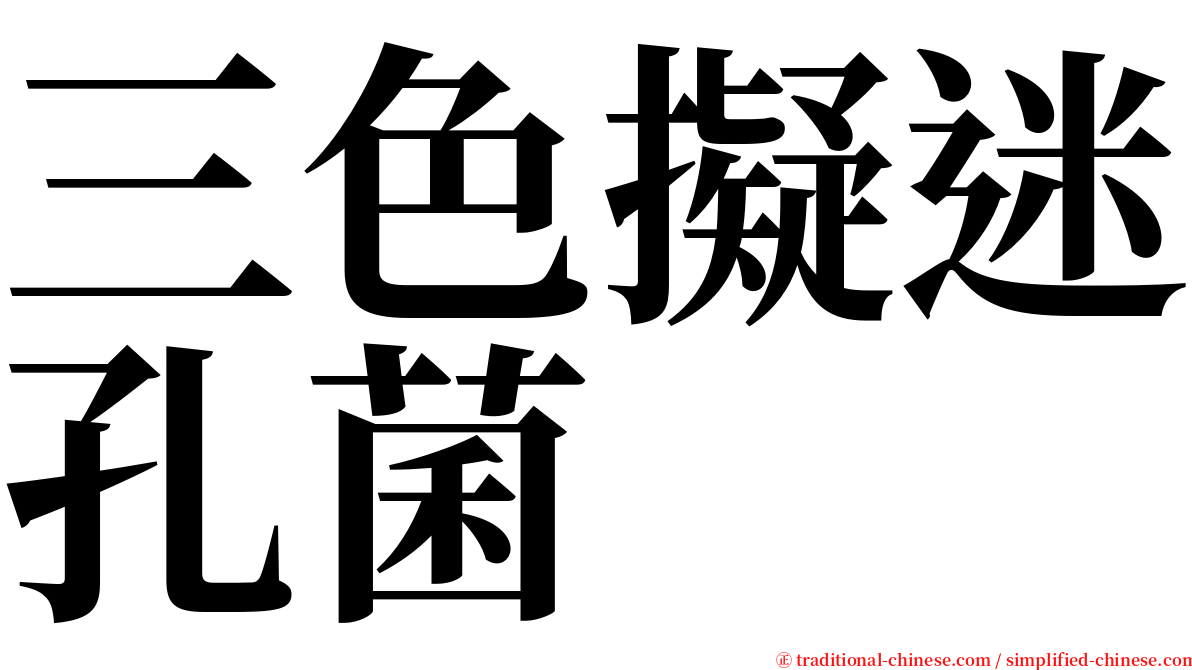 三色擬迷孔菌 serif font