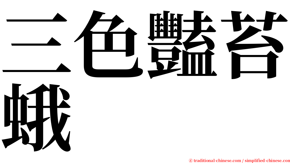 三色豔苔蛾 serif font