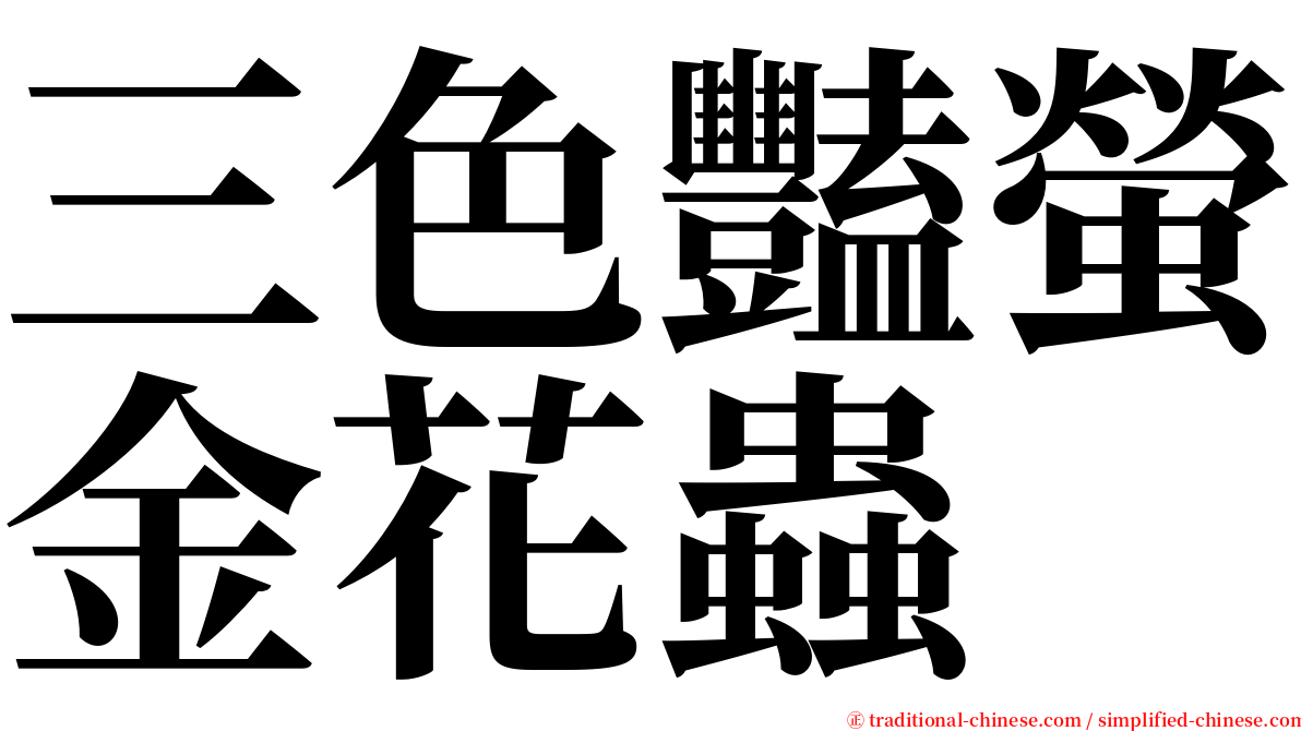 三色豔螢金花蟲 serif font