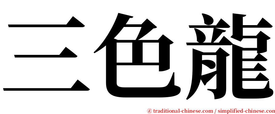 三色龍 serif font