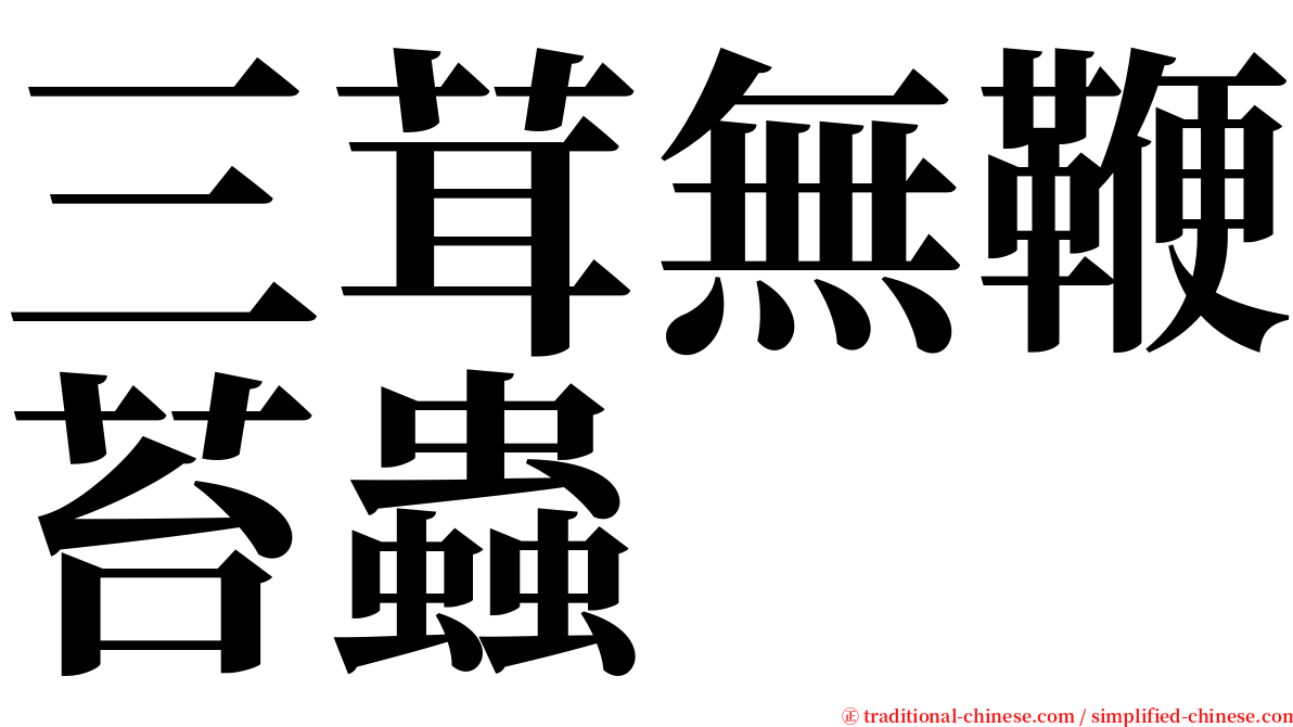 三茸無鞭苔蟲 serif font