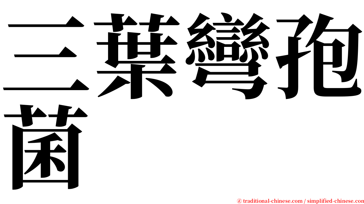 三葉彎孢菌 serif font