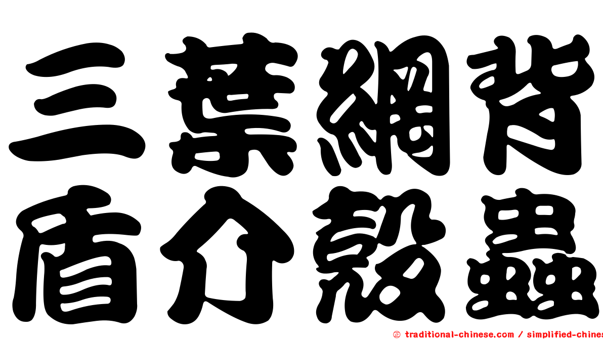 三葉網背盾介殼蟲