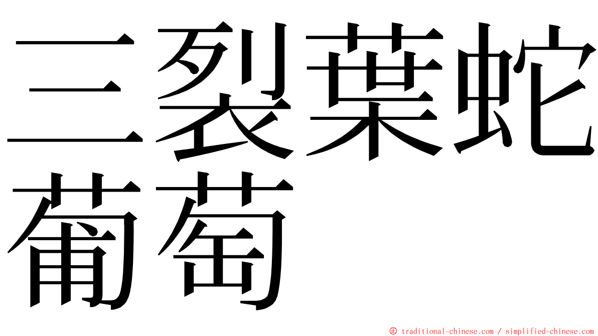 三裂葉蛇葡萄 ming font