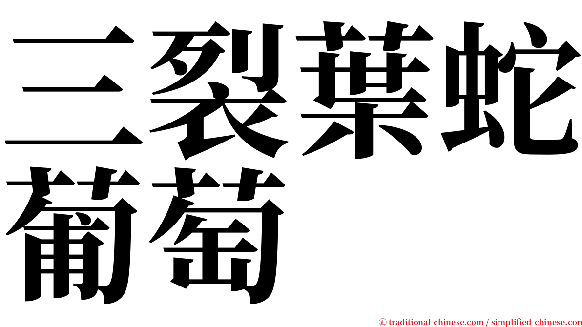 三裂葉蛇葡萄 serif font