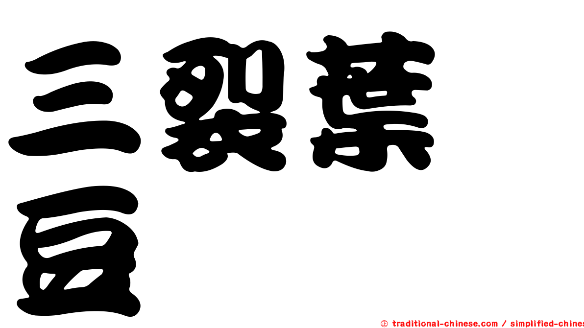 三裂葉豇豆