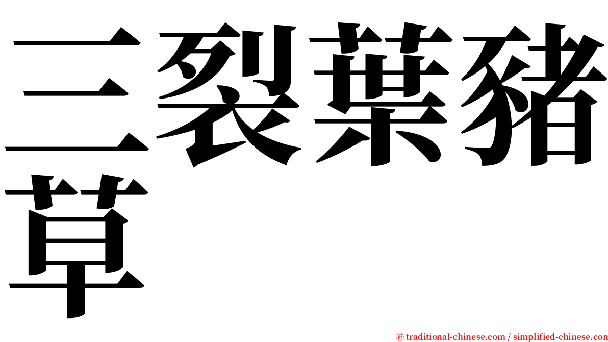 三裂葉豬草 serif font
