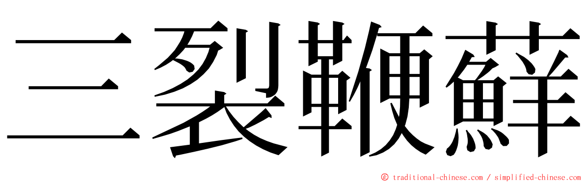 三裂鞭蘚 ming font