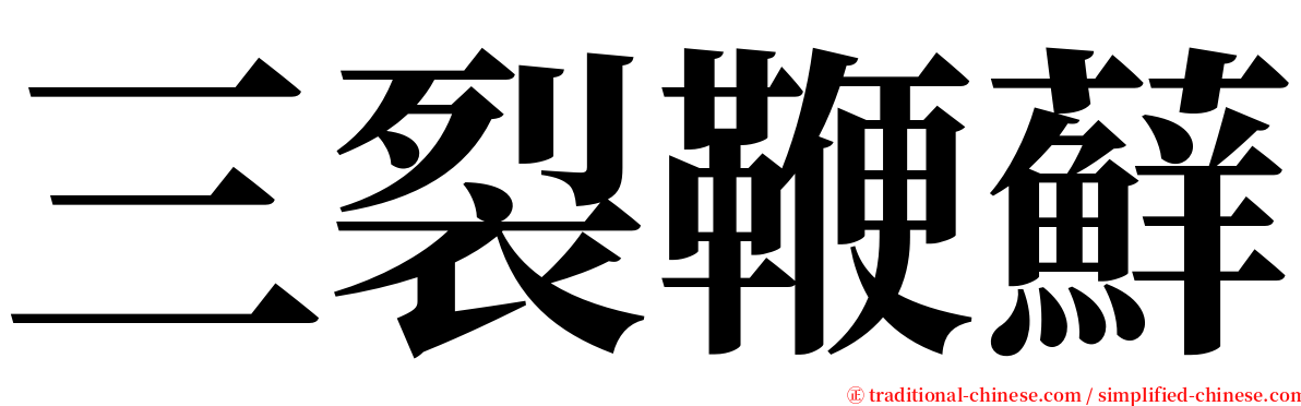 三裂鞭蘚 serif font