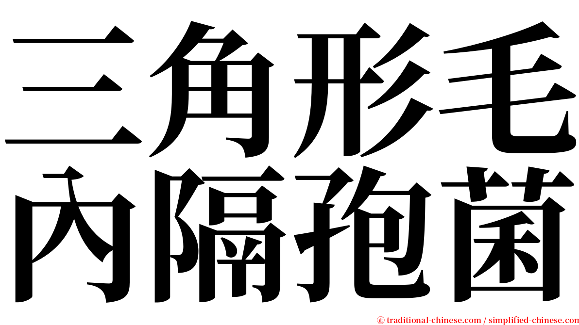 三角形毛內隔孢菌 serif font