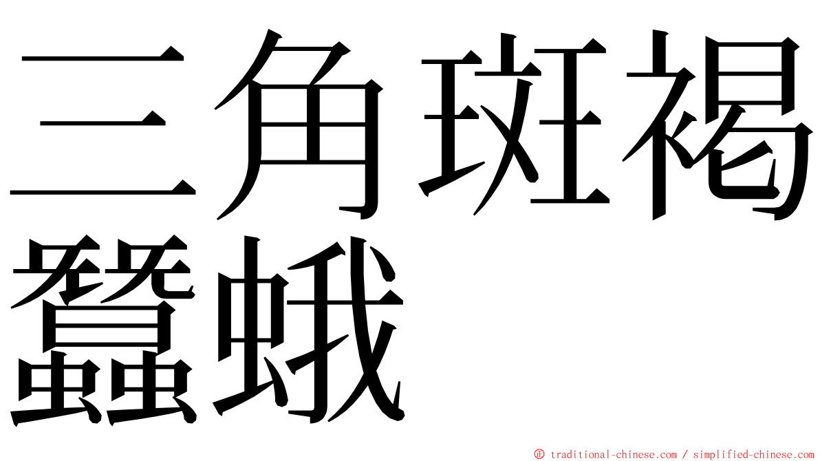 三角斑褐蠶蛾 ming font