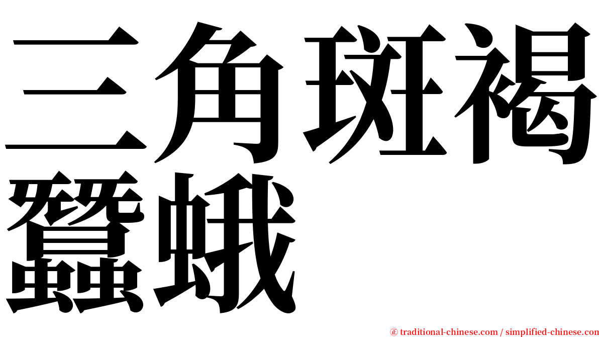 三角斑褐蠶蛾 serif font