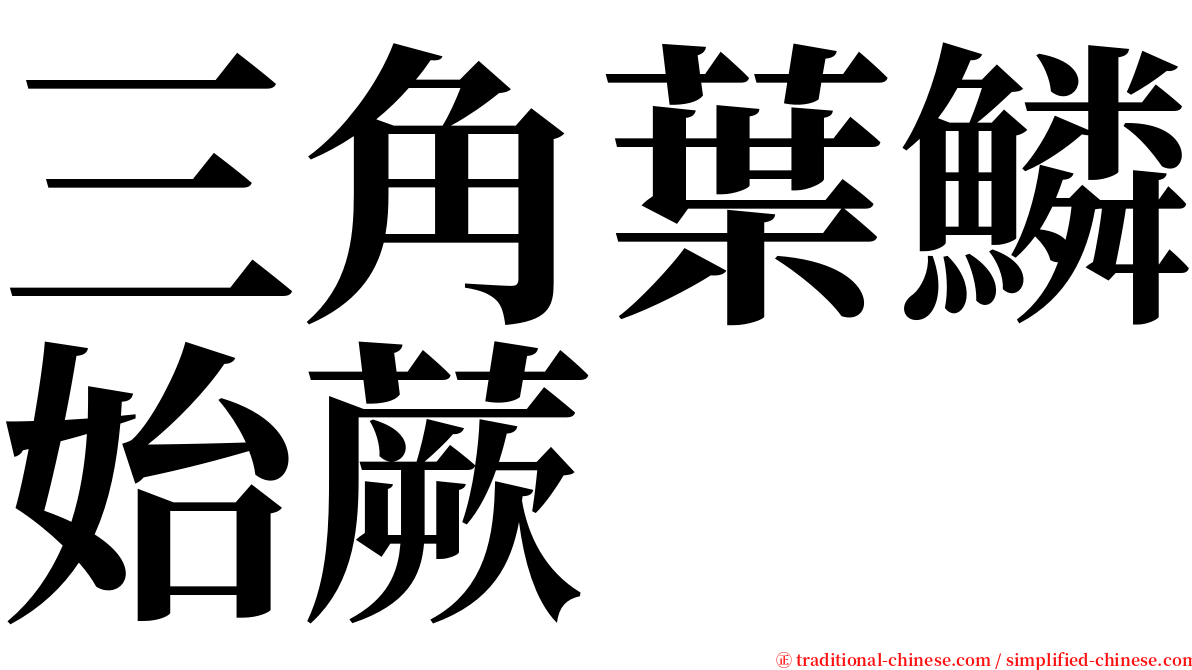 三角葉鱗始蕨 serif font