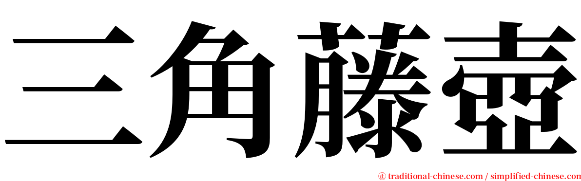 三角藤壺 serif font