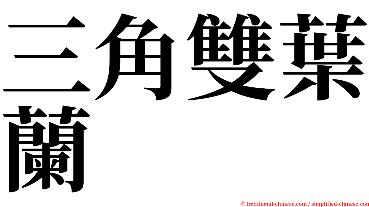 三角雙葉蘭 serif font