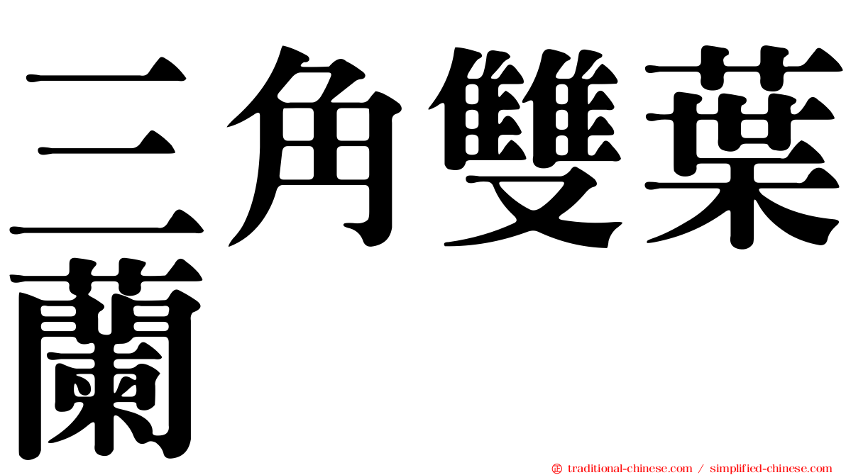 三角雙葉蘭