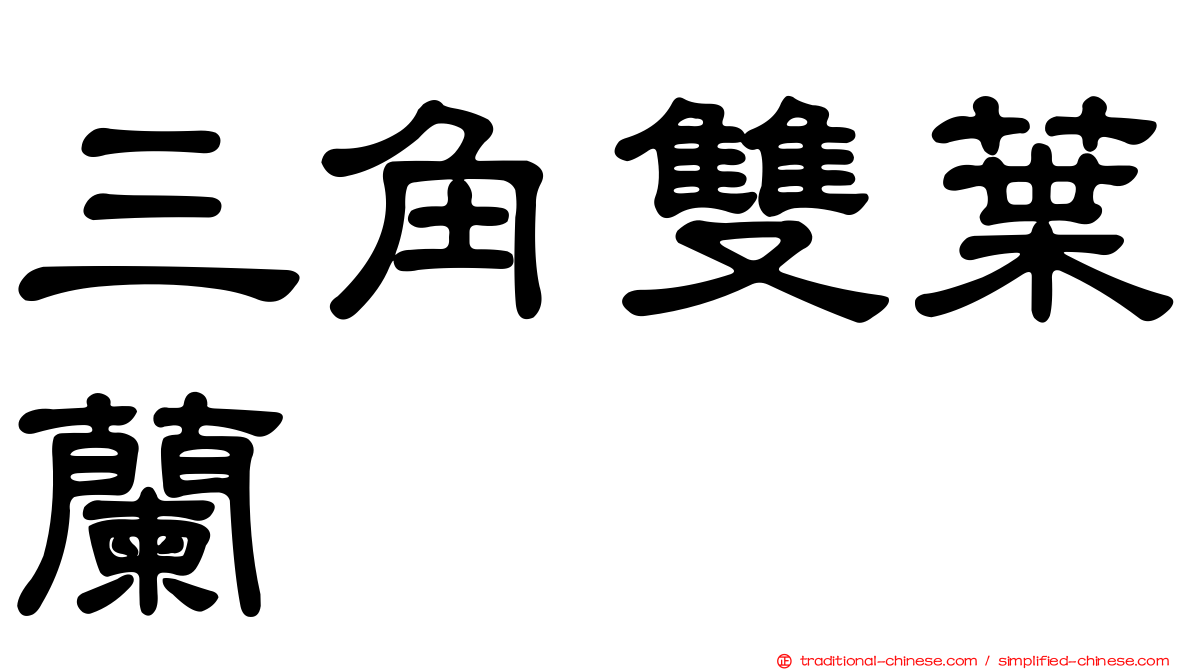 三角雙葉蘭