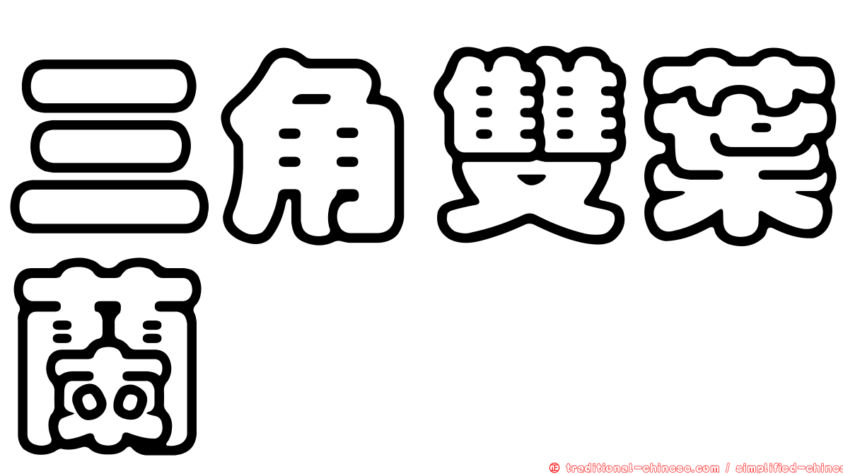 三角雙葉蘭