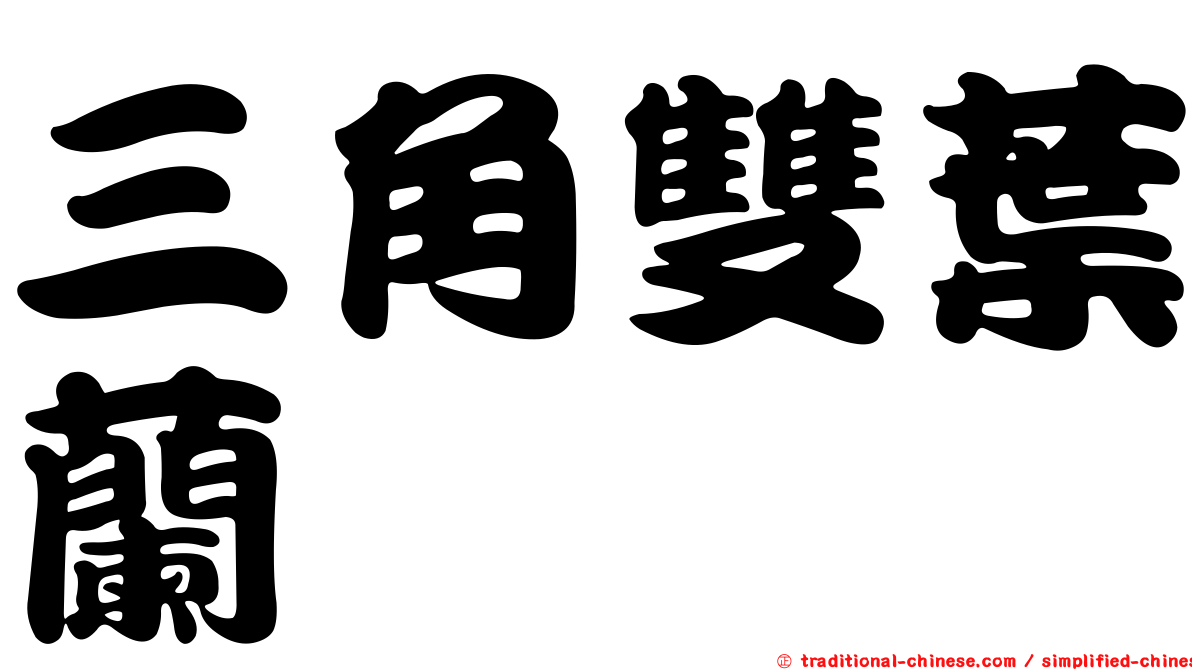 三角雙葉蘭