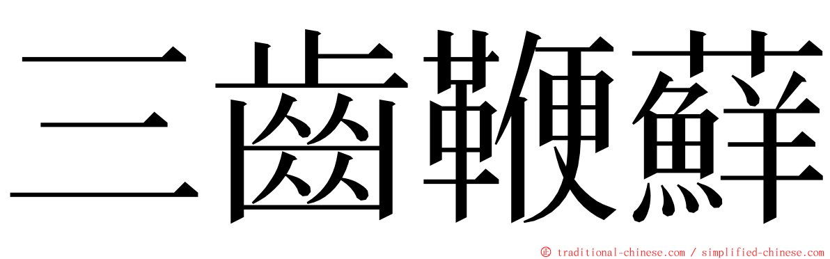 三齒鞭蘚 ming font