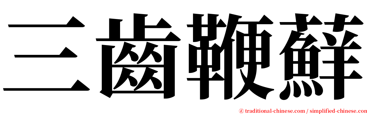 三齒鞭蘚 serif font