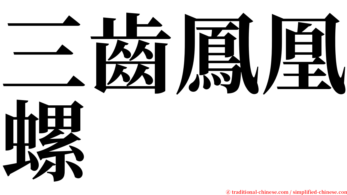 三齒鳳凰螺 serif font