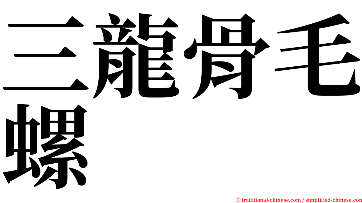 三龍骨毛螺 serif font