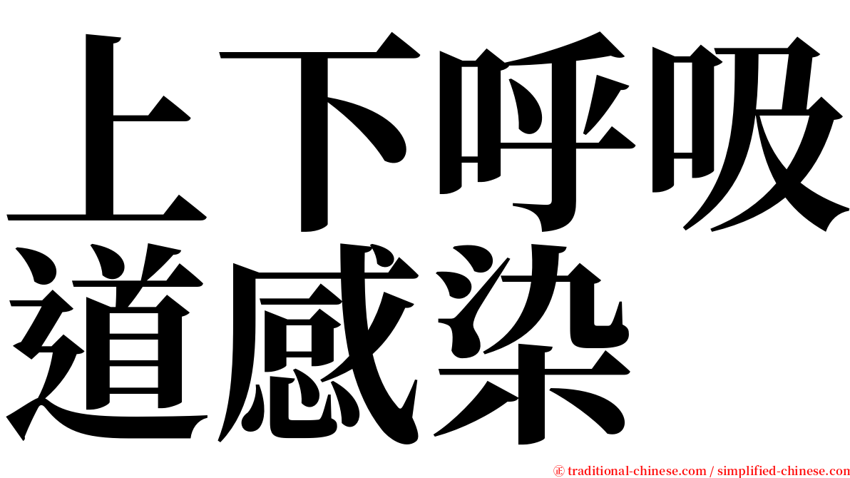 上下呼吸道感染 serif font