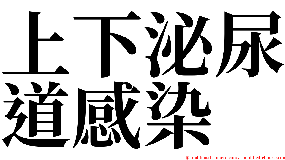 上下泌尿道感染 serif font