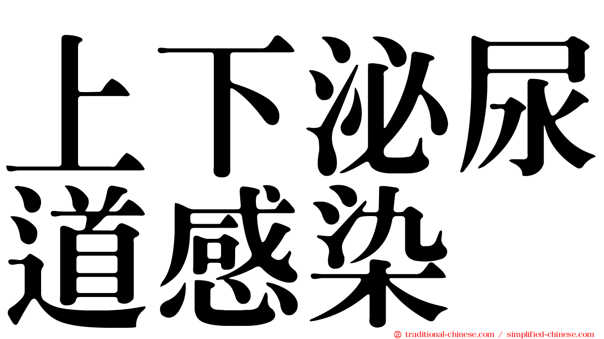 上下泌尿道感染