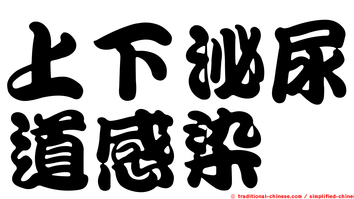 上下泌尿道感染