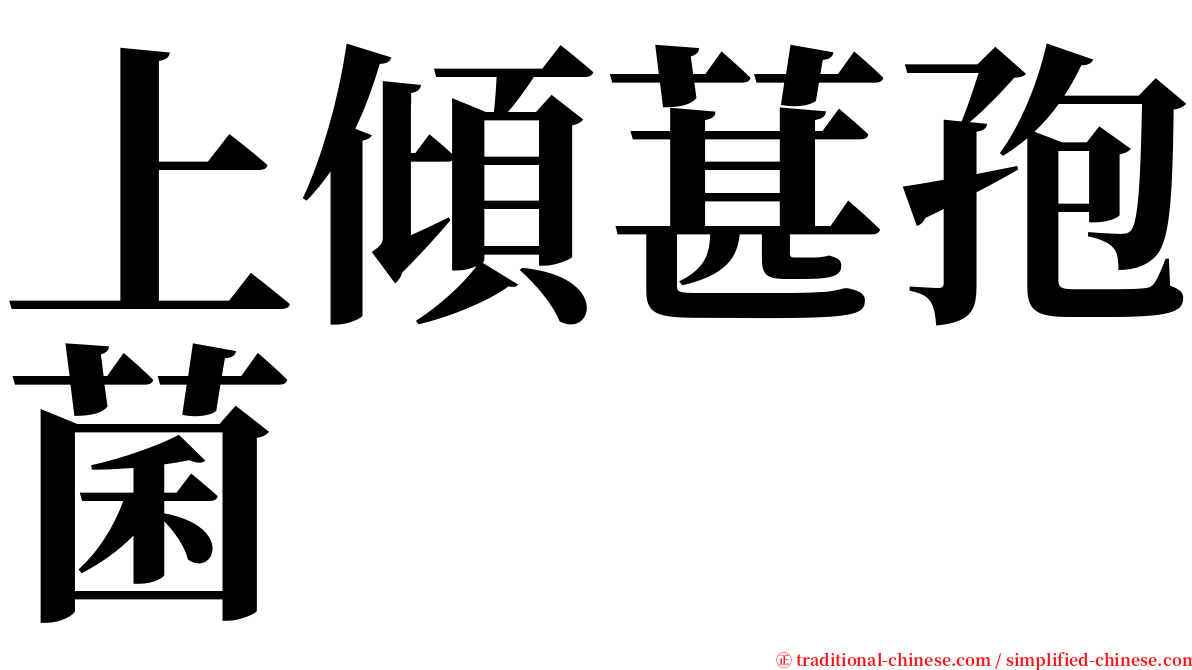 上傾葚孢菌 serif font