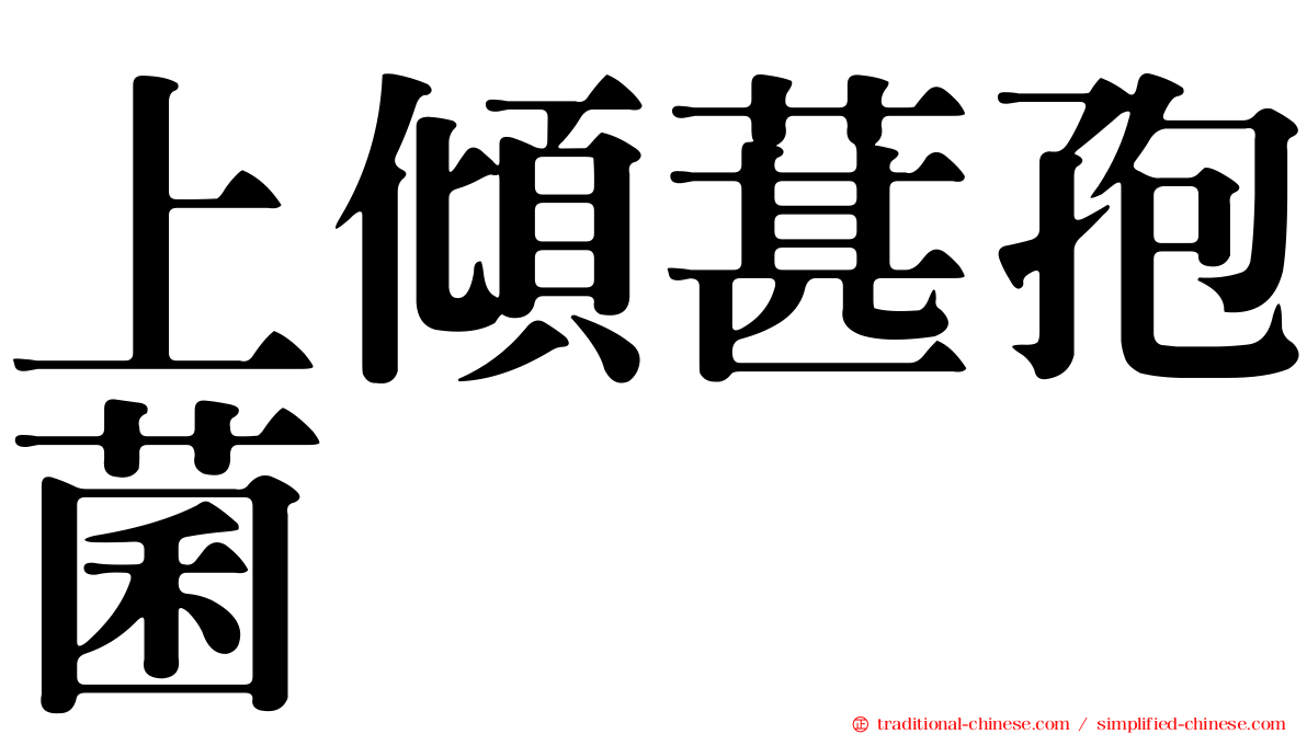 上傾葚孢菌