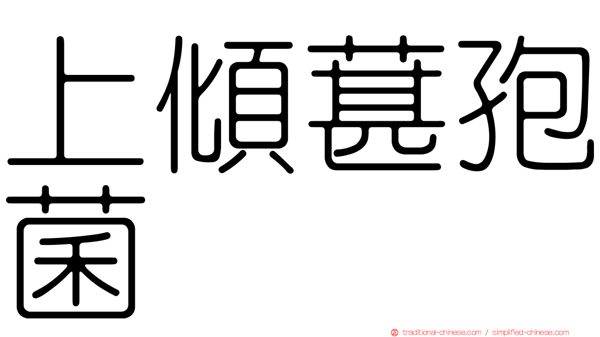 上傾葚孢菌