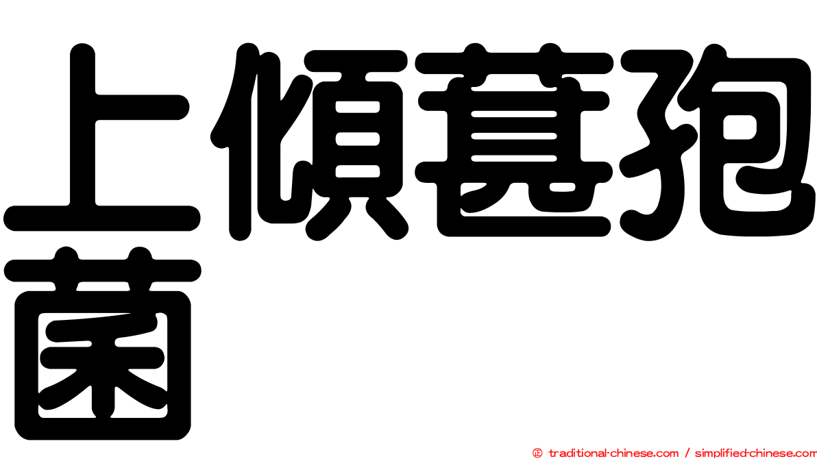 上傾葚孢菌