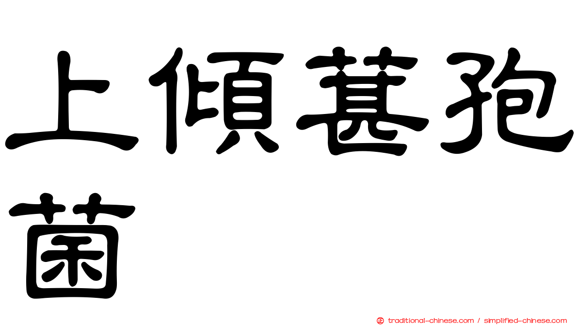 上傾葚孢菌