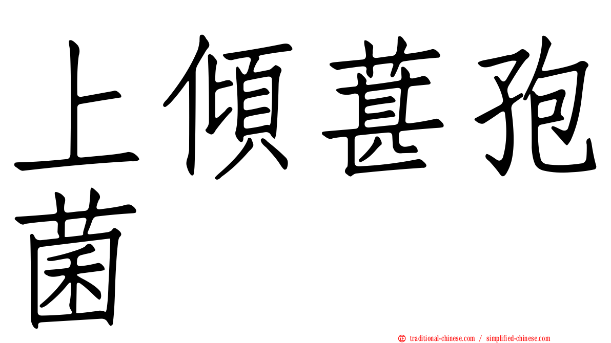 上傾葚孢菌