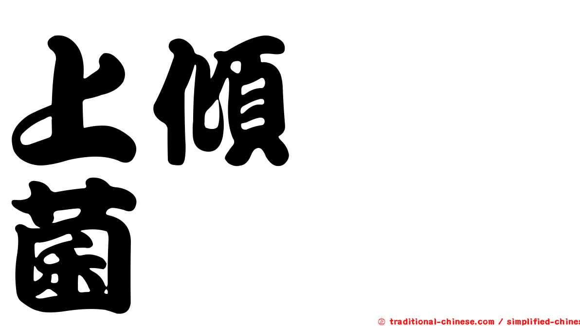 上傾葚孢菌